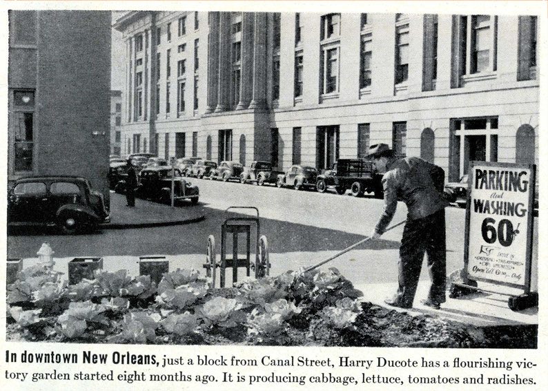 external image artifact1.jpg